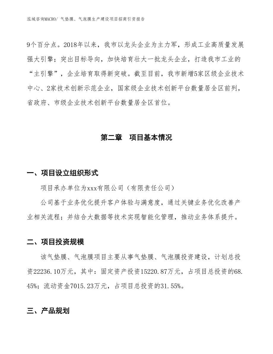 气垫膜、气泡膜生产建设项目招商引资报告(总投资22236.10万元)_第5页