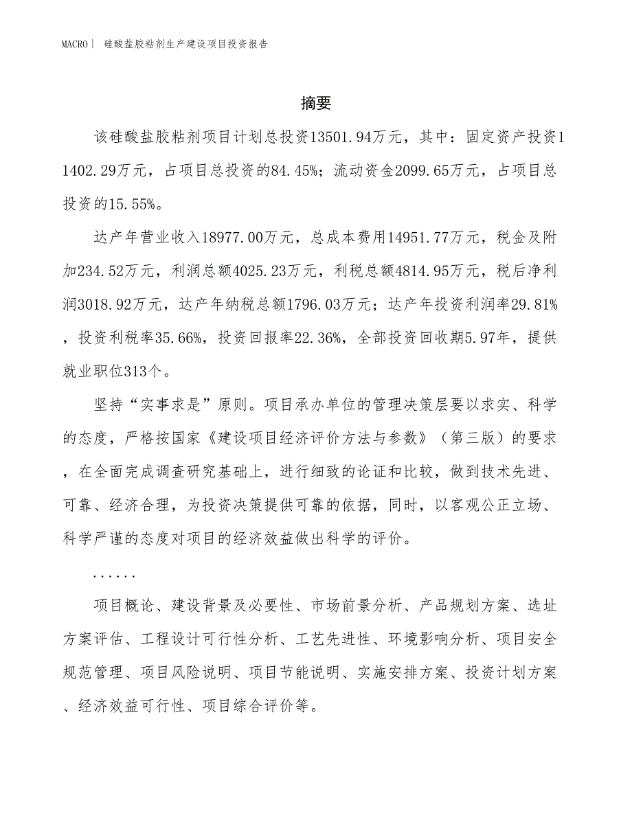 硅酸盐胶粘剂生产建设项目投资报告_第2页