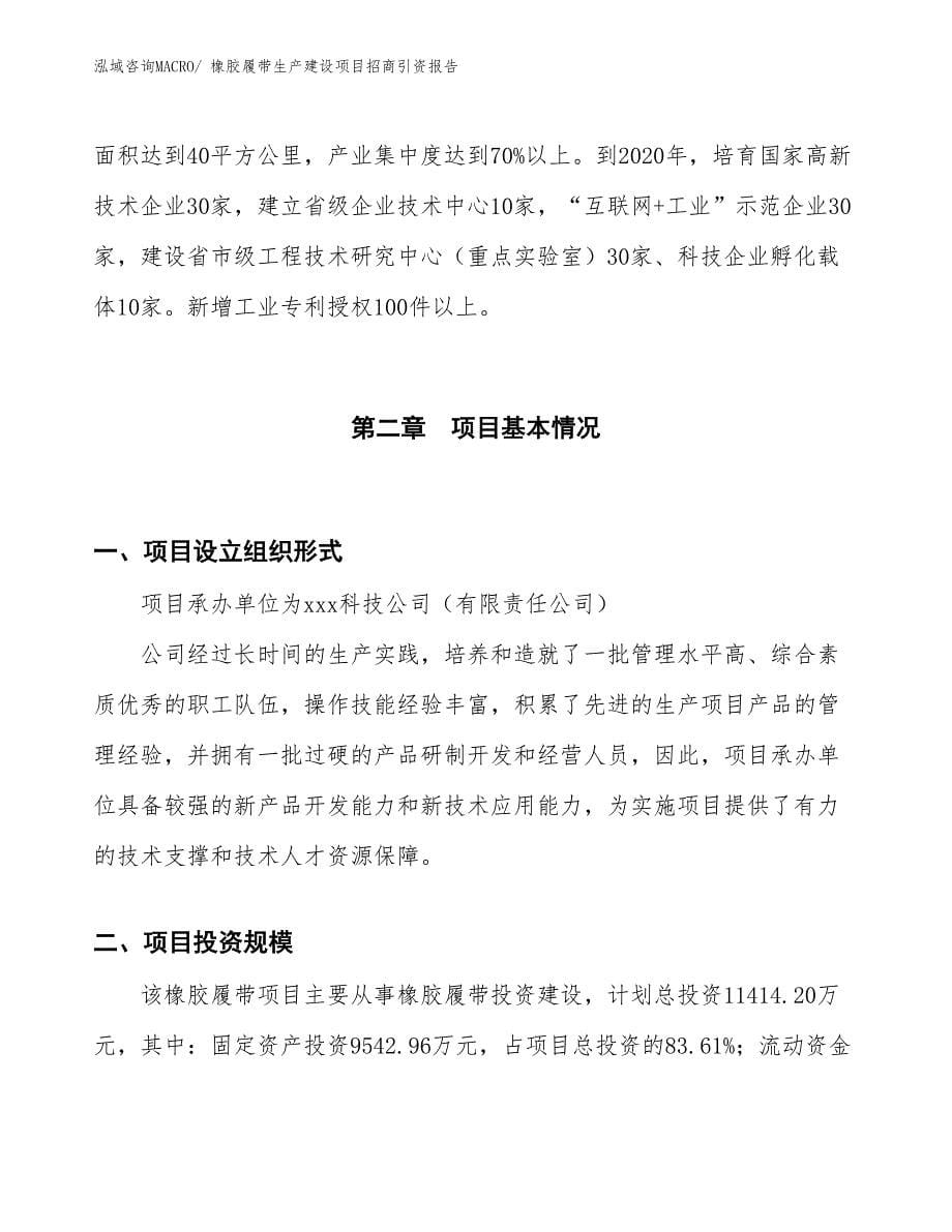 橡胶履带生产建设项目招商引资报告(总投资11414.20万元)_第5页