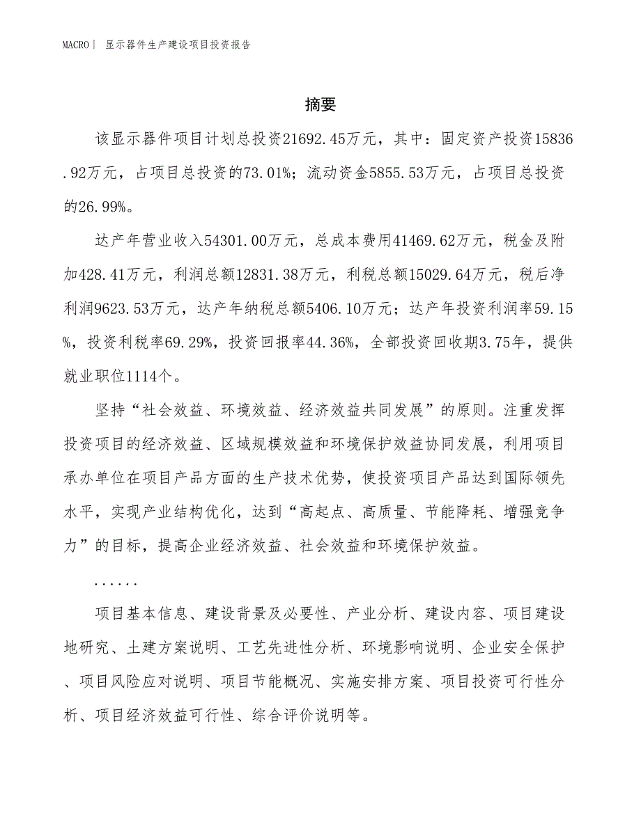 显示器件生产建设项目投资报告_第2页