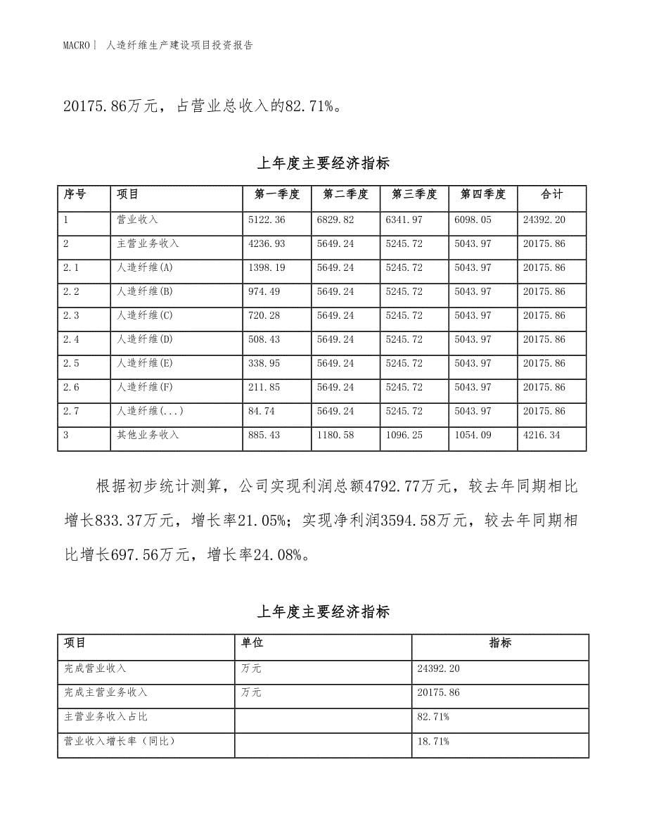 人造纤维生产建设项目投资报告_第5页