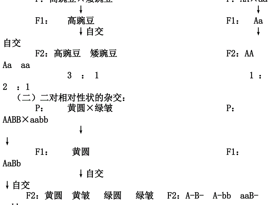 人教版教学课件惠东中学高三生物选修3测试题讲评课件-上学期_第3页