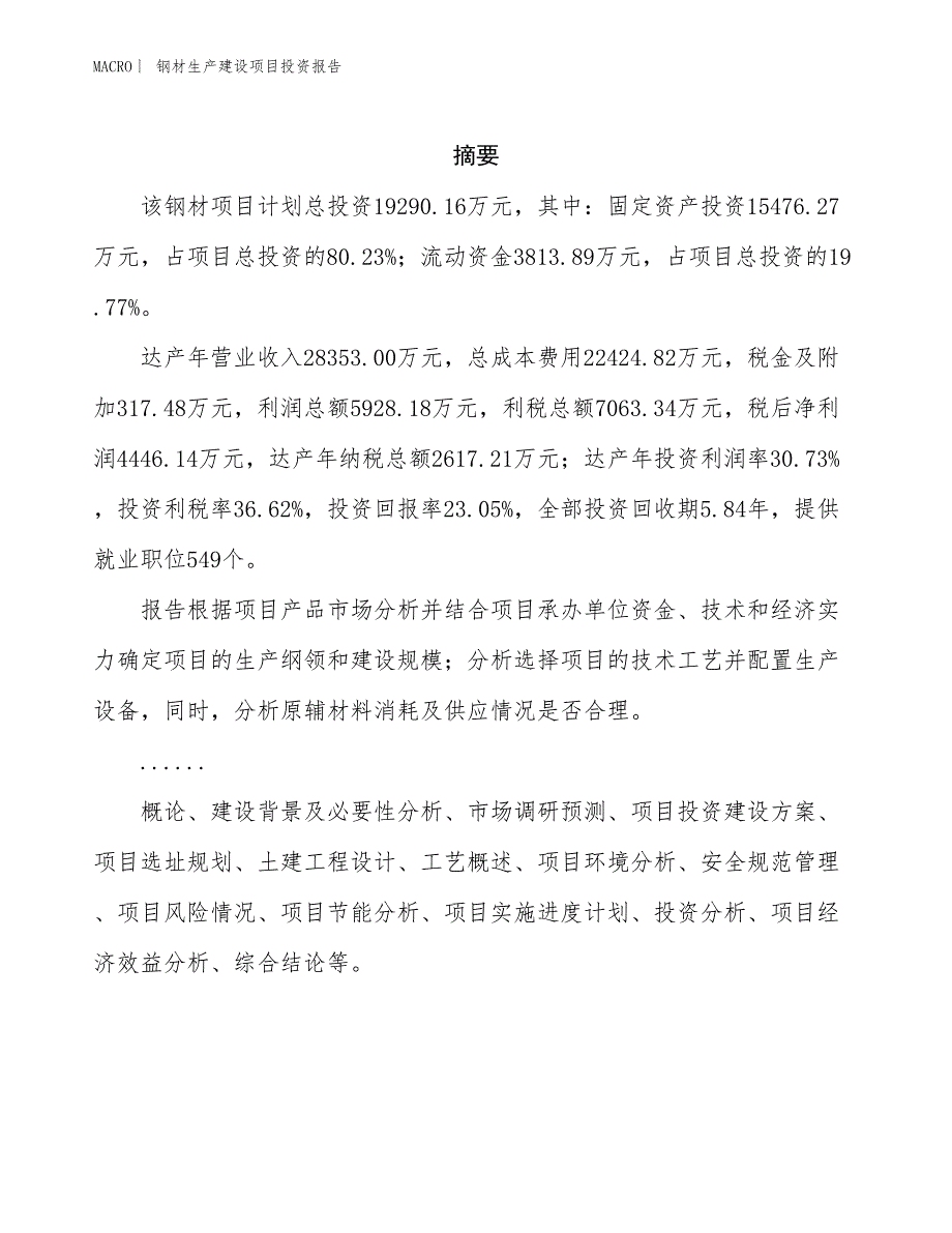 钢材生产建设项目投资报告_第2页