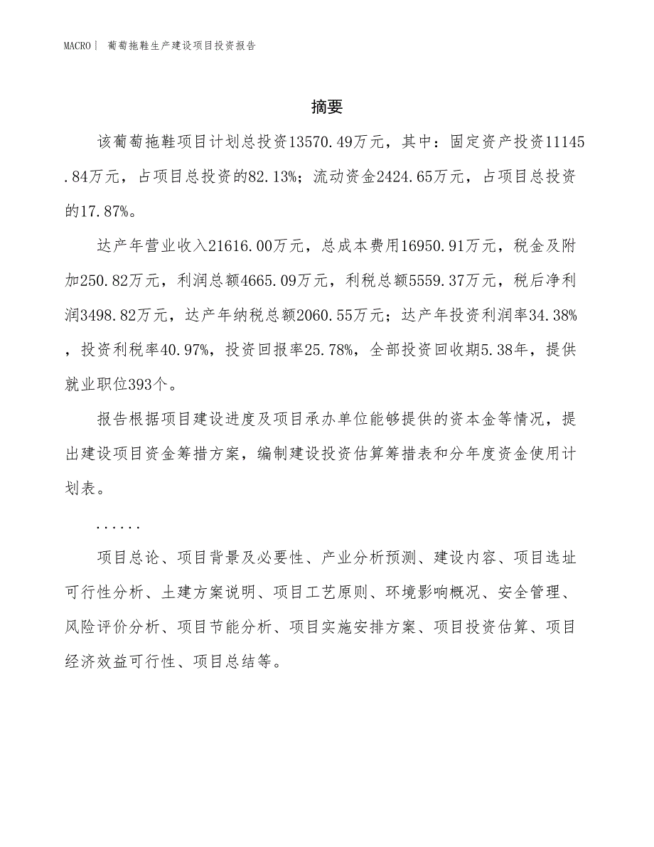 葡萄拖鞋生产建设项目投资报告_第2页