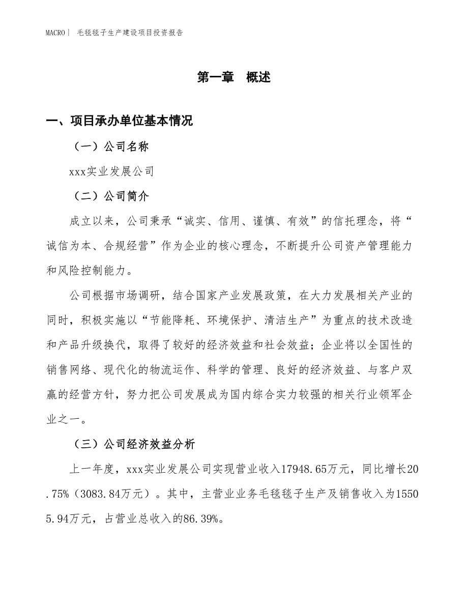 毛毯毯子生产建设项目投资报告_第5页