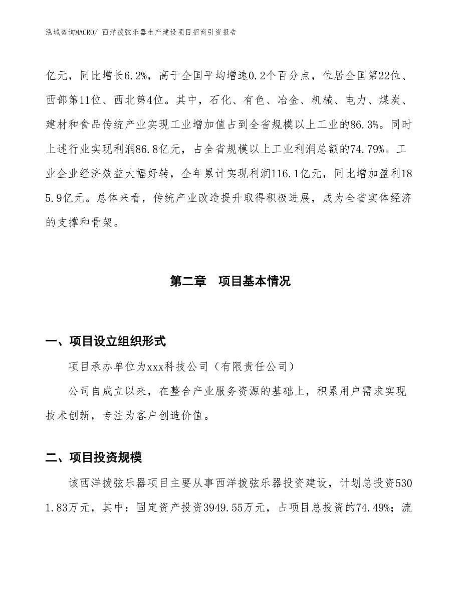 西洋拨弦乐器生产建设项目招商引资报告(总投资5301.83万元)_第5页