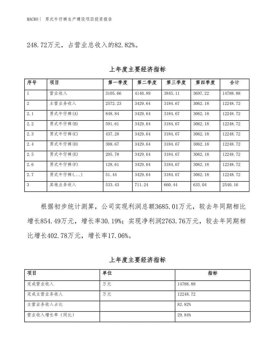 男式牛仔裤生产建设项目投资报告_第5页