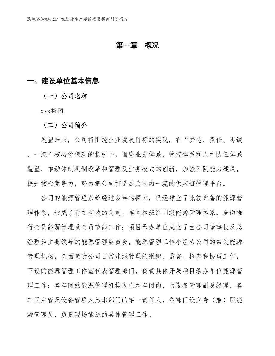 橡胶片生产建设项目招商引资报告(总投资19747.07万元)_第1页