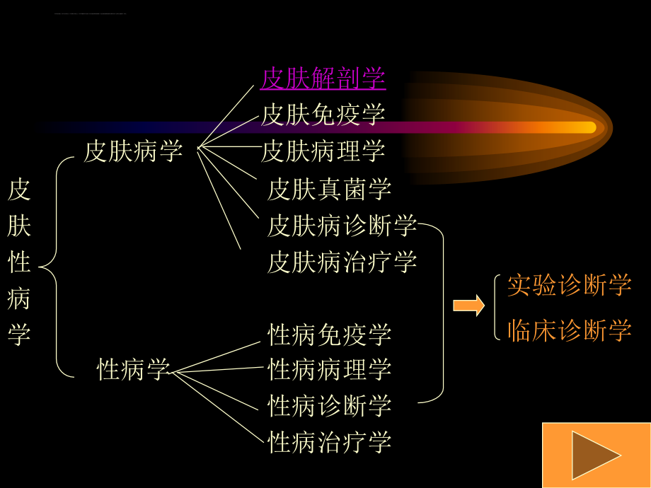 总论-皮肤性病学_第2页