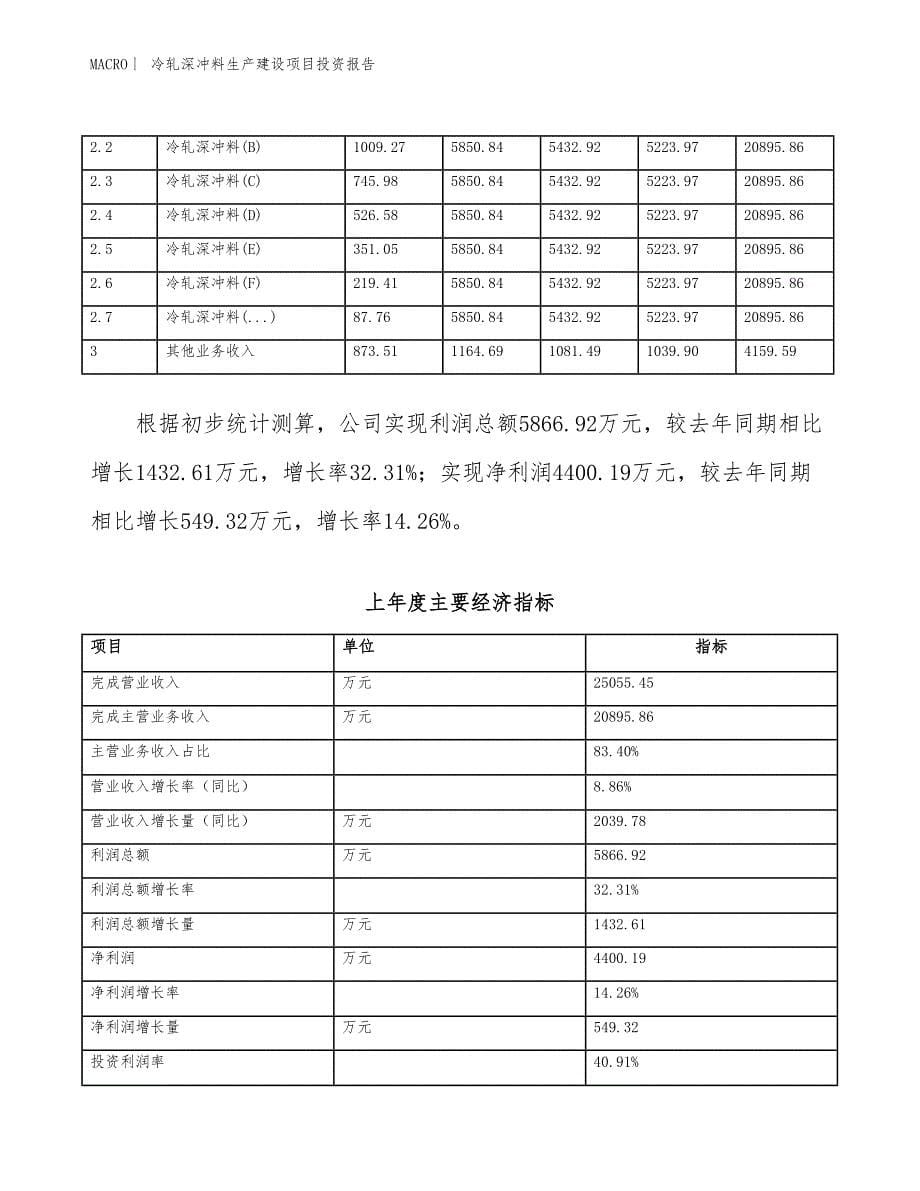 冷轧深冲料生产建设项目投资报告_第5页