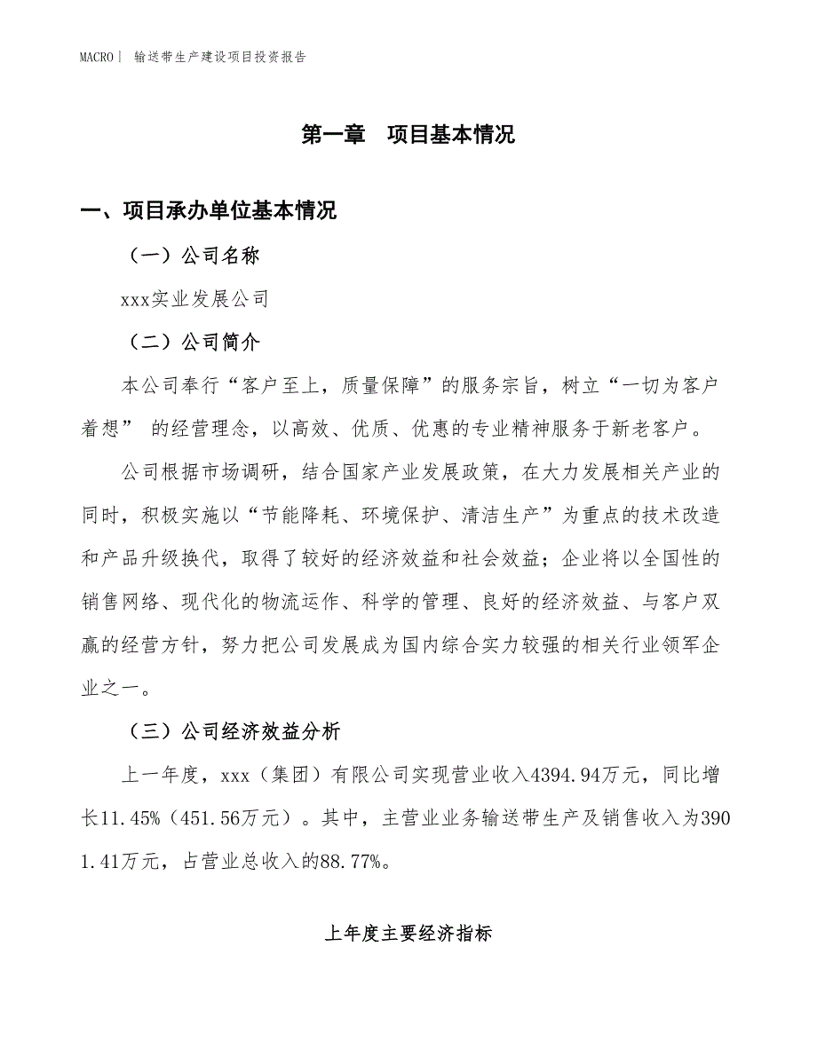 输送带生产建设项目投资报告_第4页