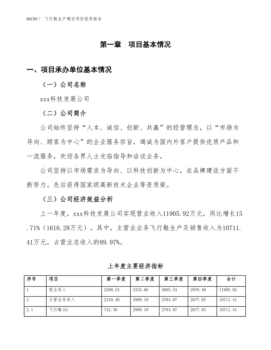 飞行鞋生产建设项目投资报告_第4页