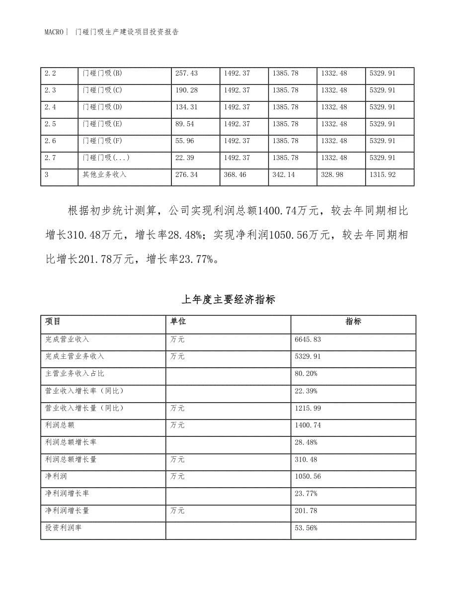 门碰门吸生产建设项目投资报告_第5页