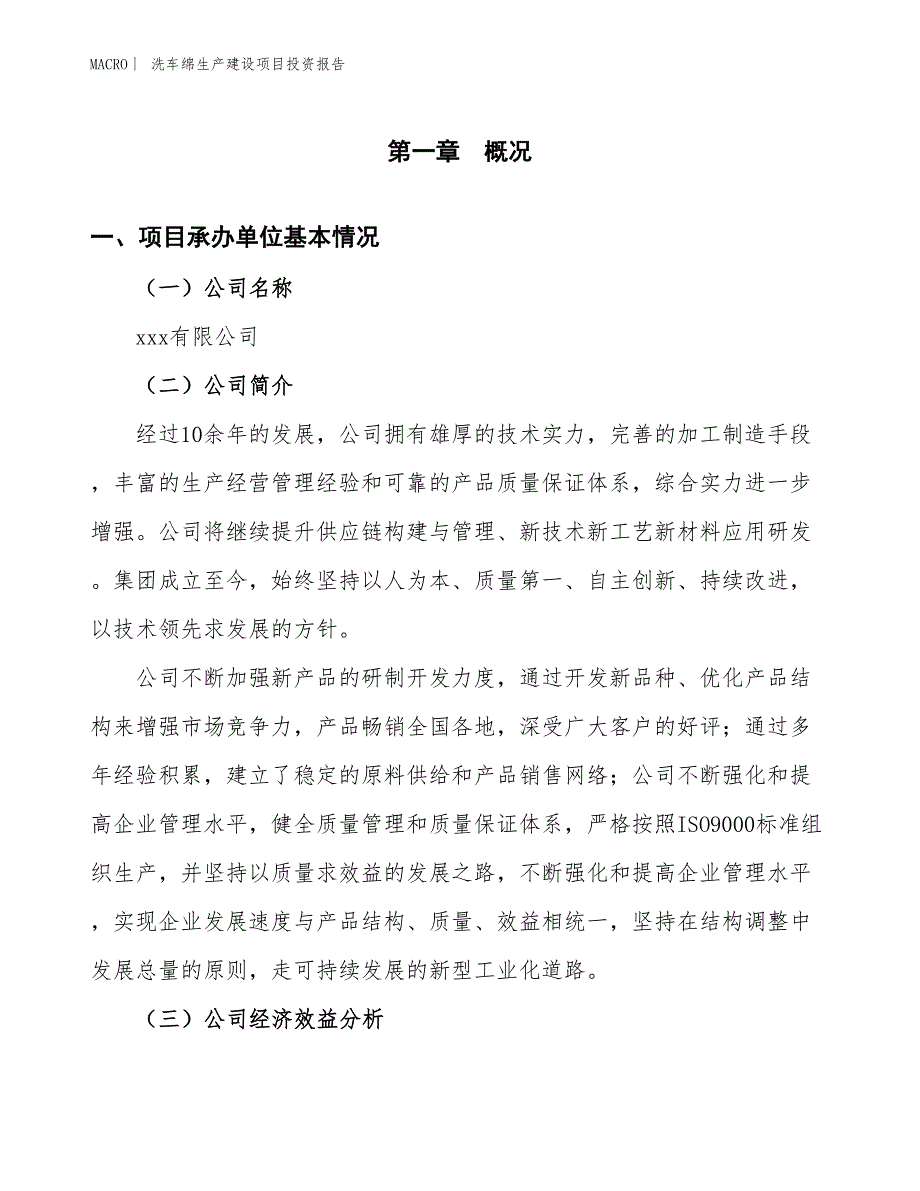 洗车绵生产建设项目投资报告_第4页