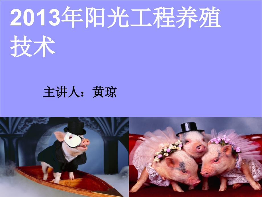 阳光工程养殖课件2013_第1页