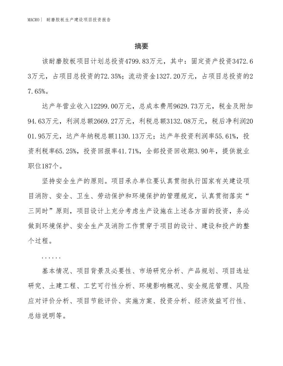 耐磨胶板生产建设项目投资报告_第2页