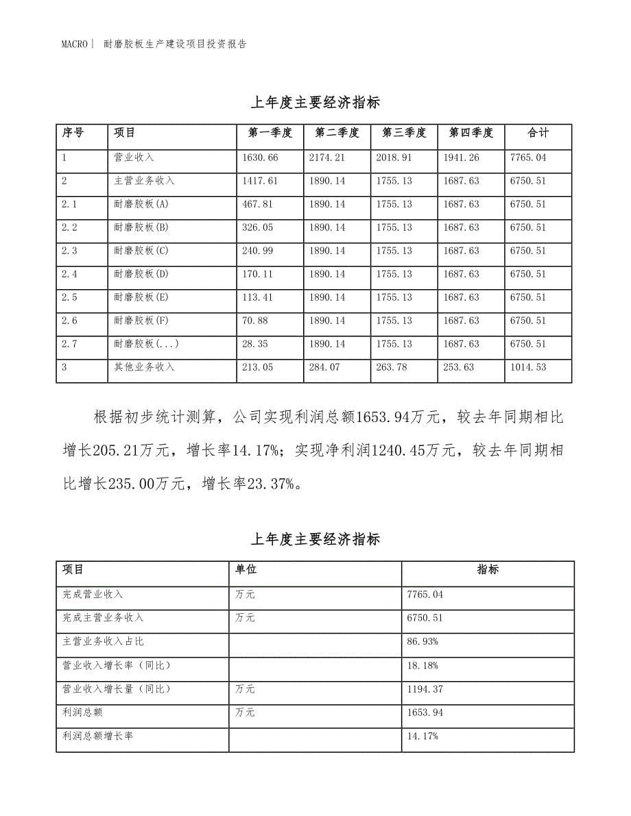 耐磨胶板生产建设项目投资报告_第5页