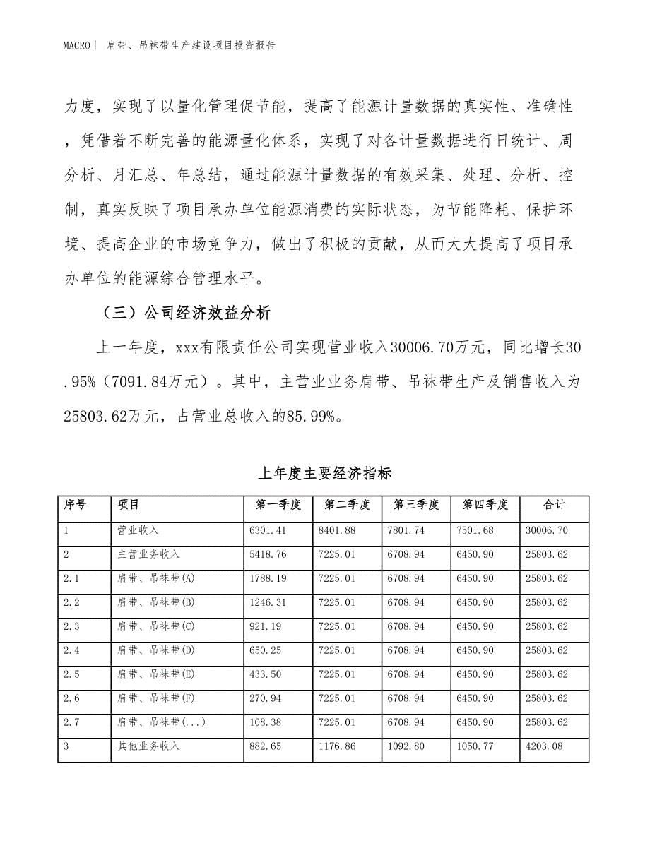 肩带、吊袜带生产建设项目投资报告_第5页