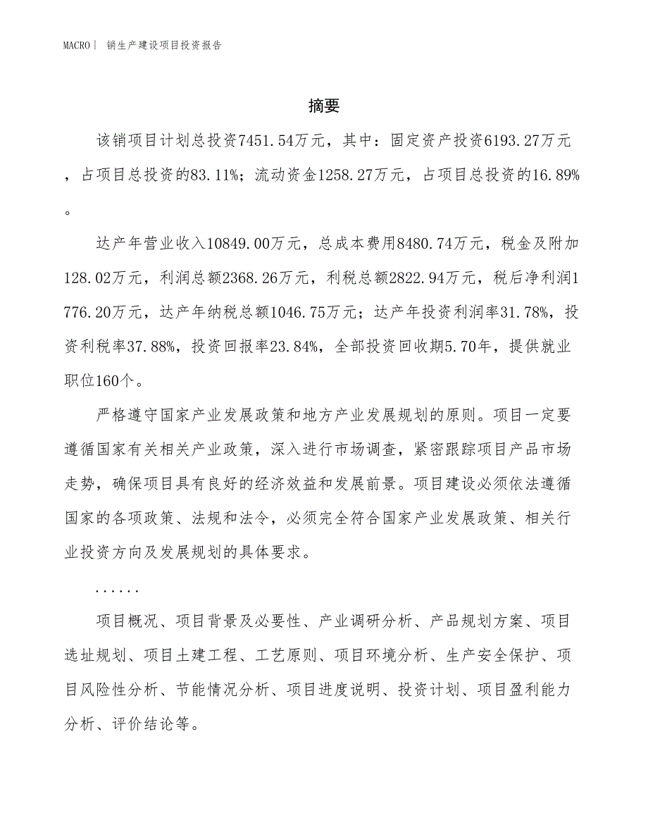 销生产建设项目投资报告_第2页