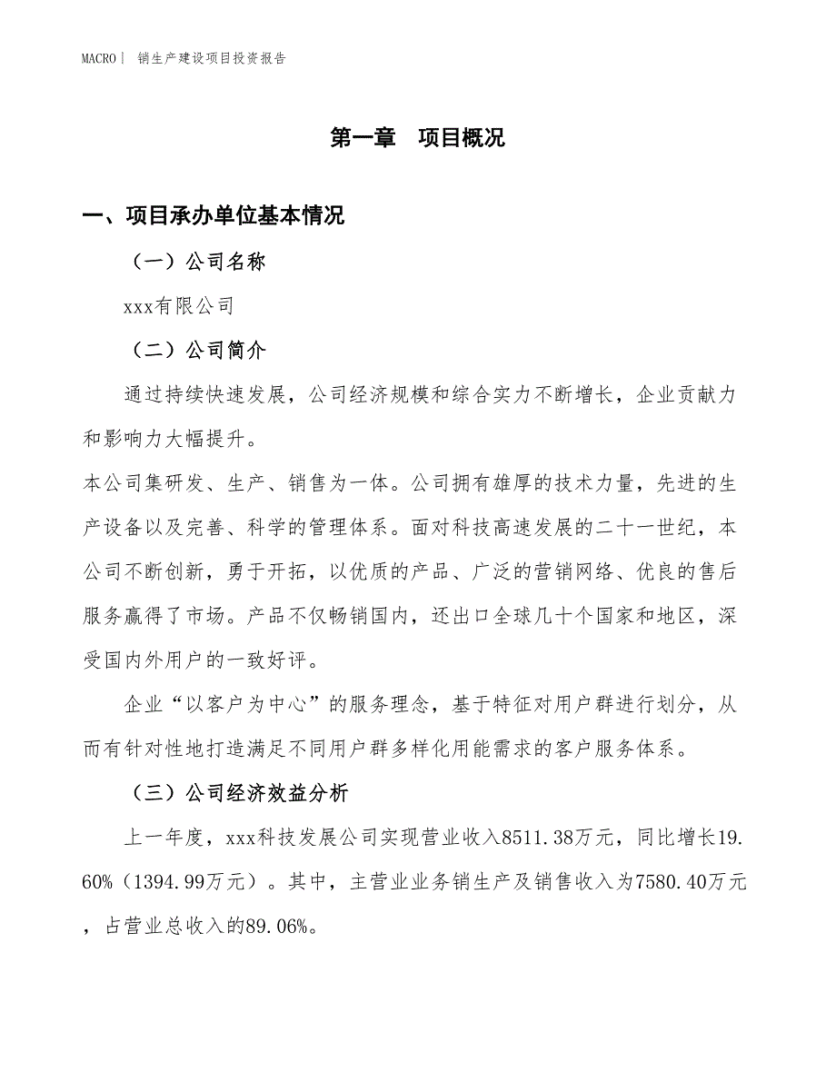 销生产建设项目投资报告_第4页