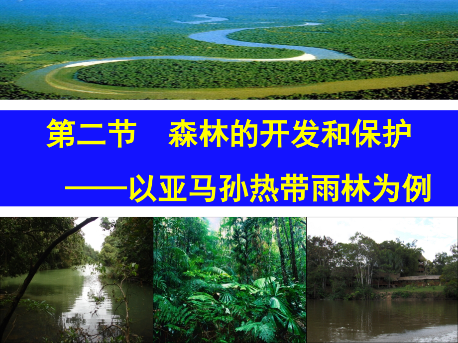 雨林开发和保护课件（共78张ppt）_第1页