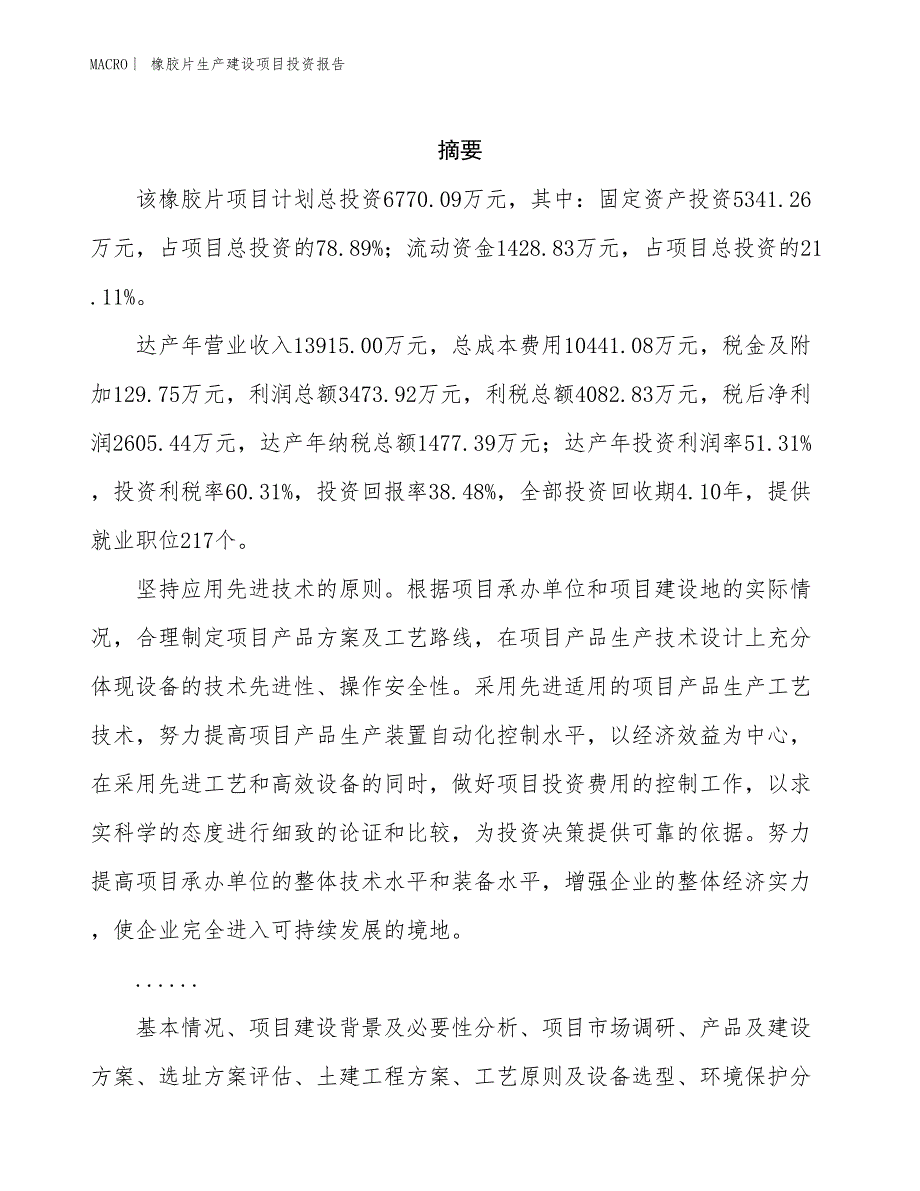 橡胶片生产建设项目投资报告_第2页