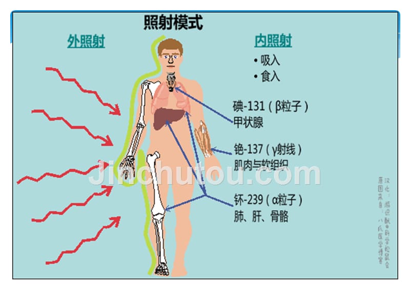 发展心理学-环境因素对人发展的影响_第5页