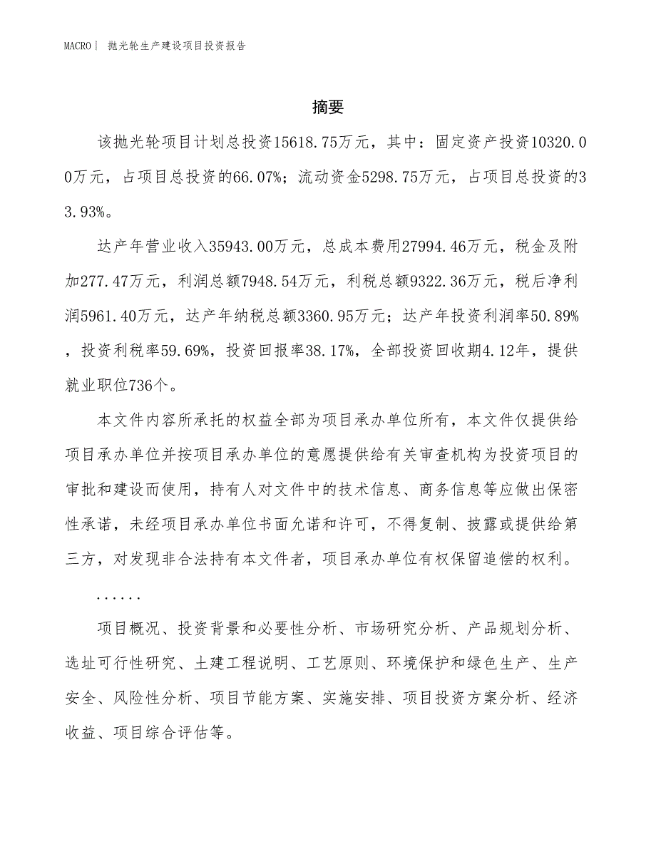 抛光轮生产建设项目投资报告_第2页