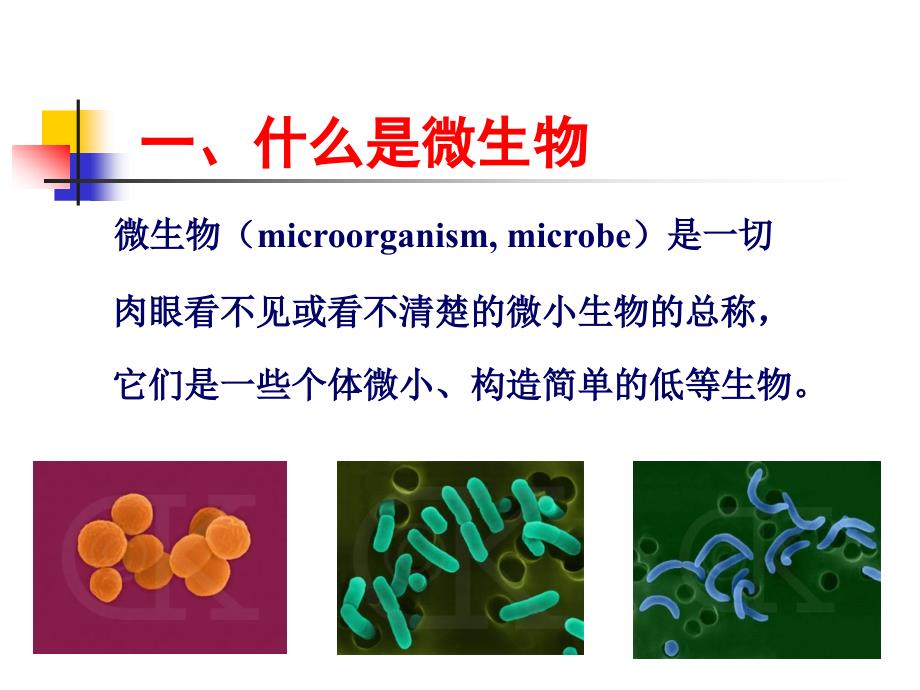 高中生物-微生物学课件_第3页