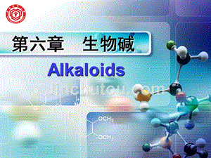 天然药物化学-第九章-生物碱-16