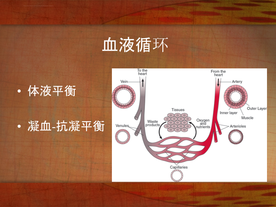 病理学-3局部血液循环障碍_第2页