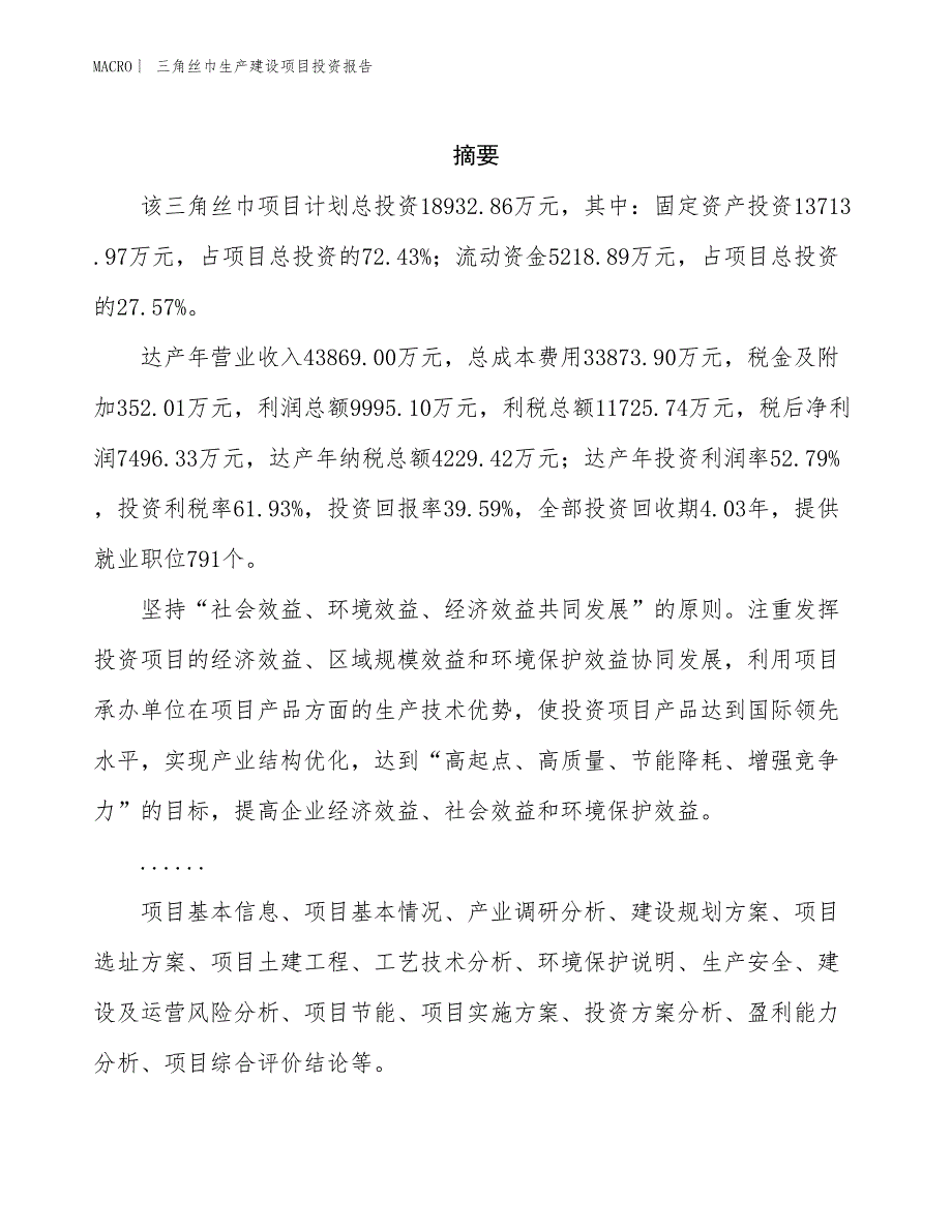 三角丝巾生产建设项目投资报告_第2页