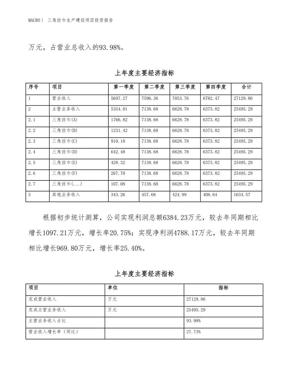 三角丝巾生产建设项目投资报告_第5页