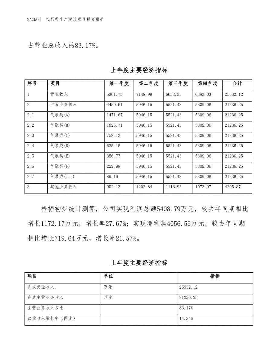 气泵类生产建设项目投资报告_第5页