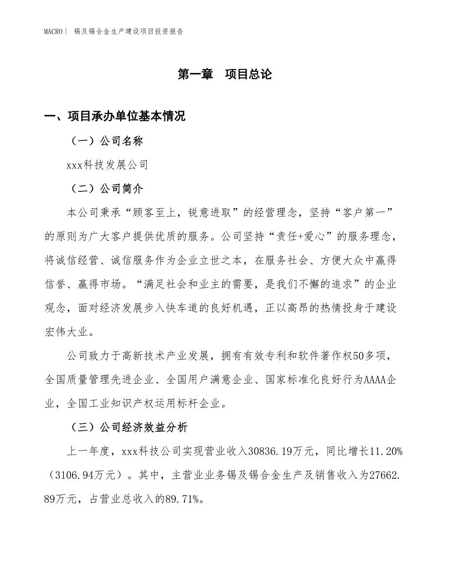 锡及锡合金生产建设项目投资报告_第4页