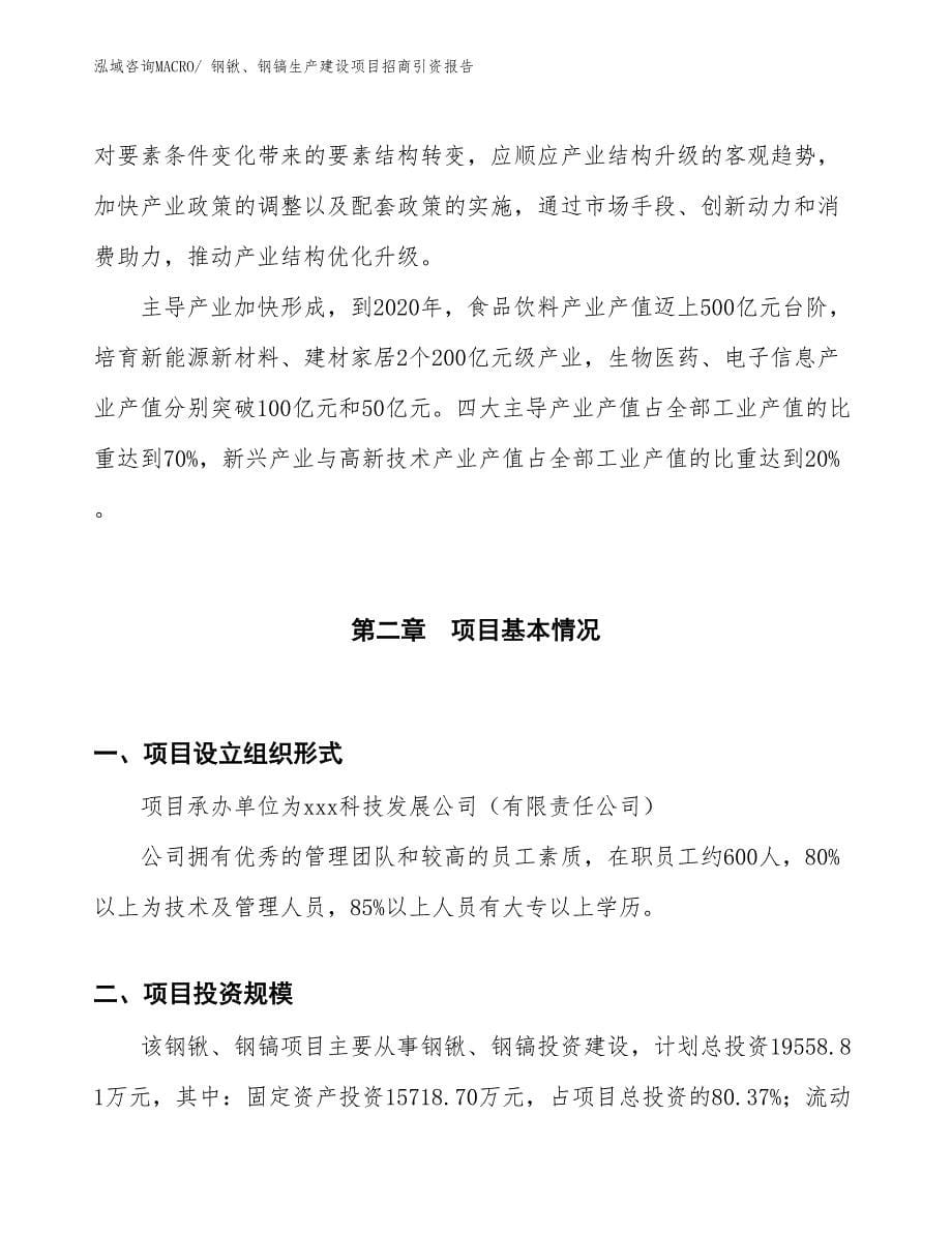 钢锹、钢镐生产建设项目招商引资报告(总投资19558.81万元)_第5页