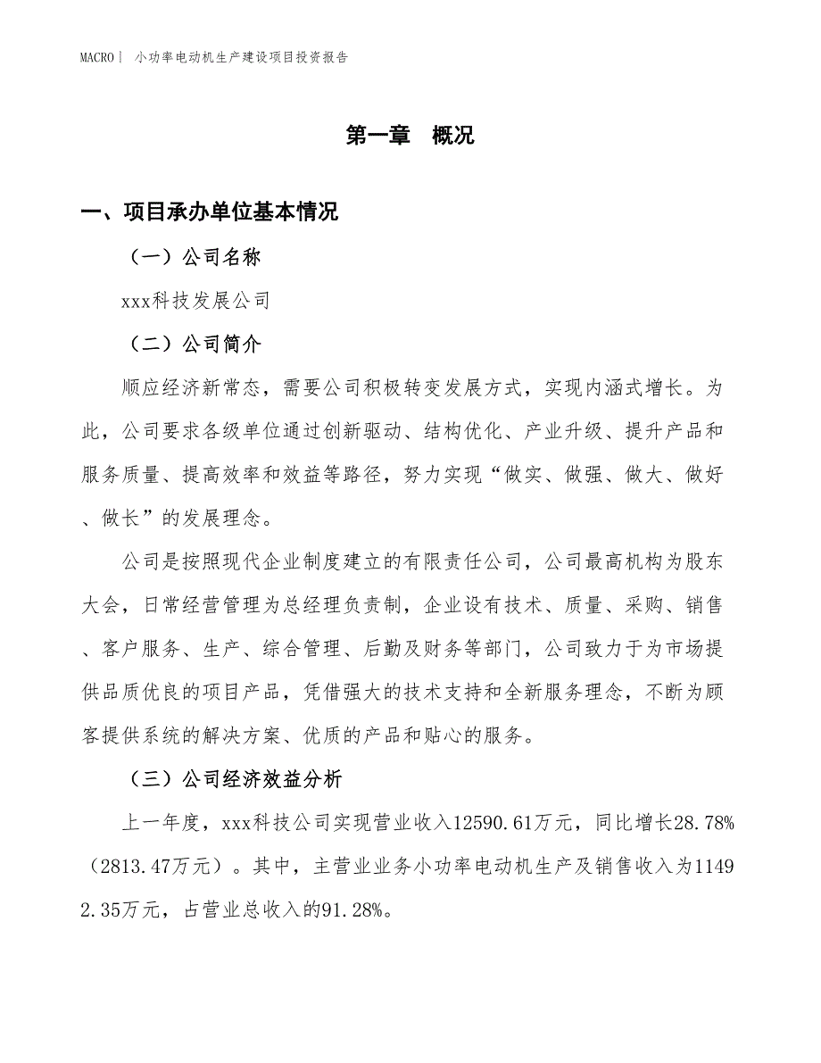 小功率电动机生产建设项目投资报告_第4页