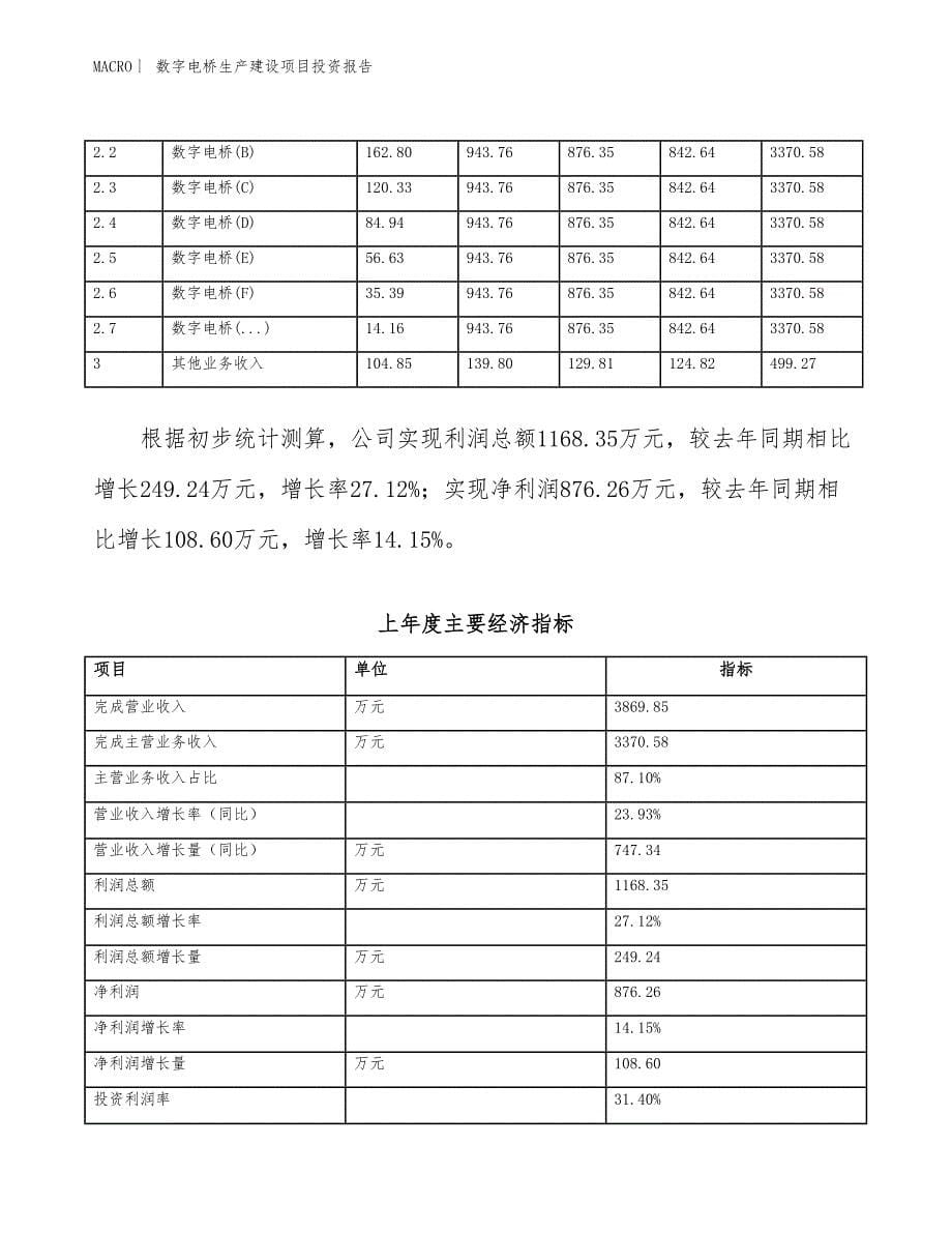 数字电桥生产建设项目投资报告_第5页