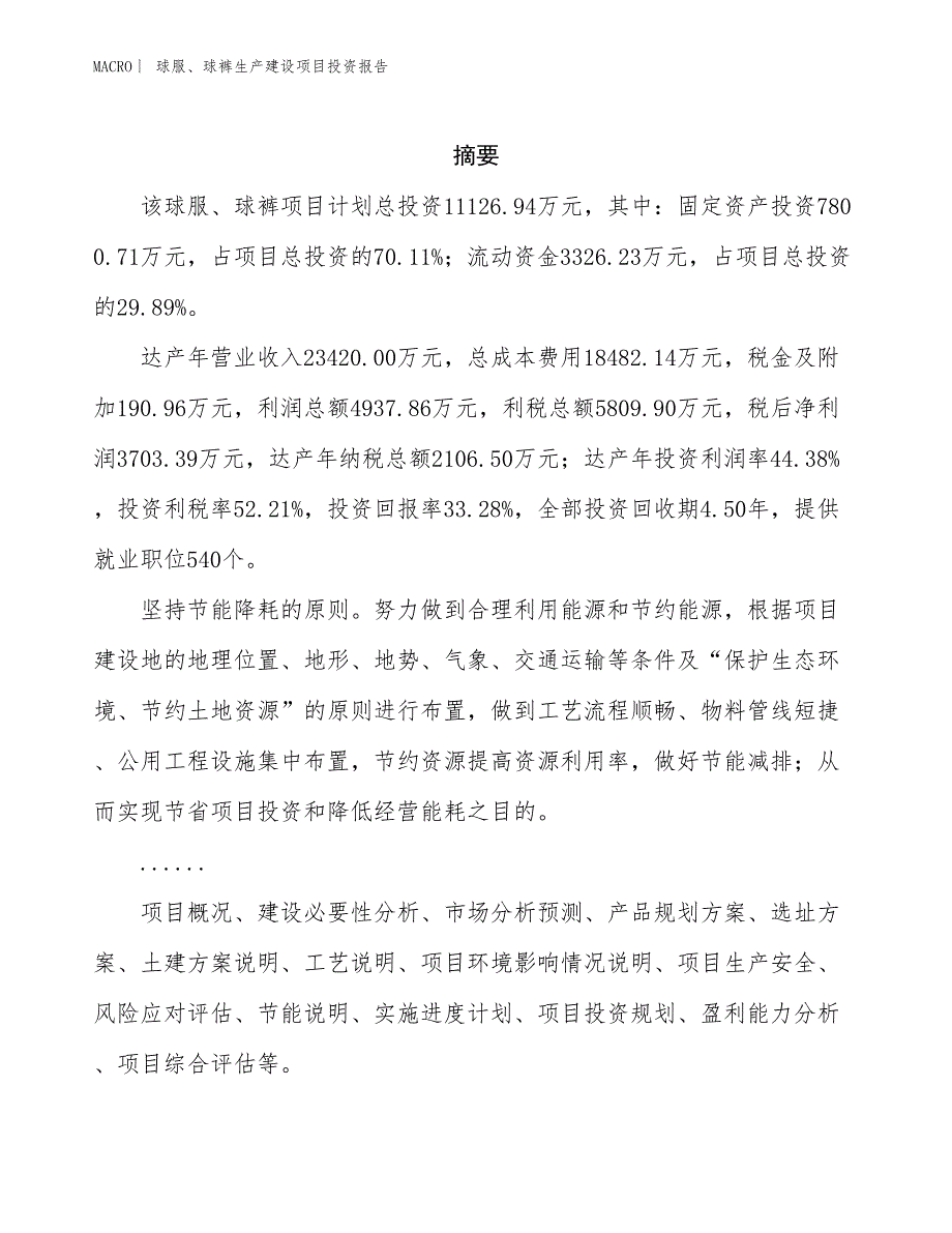 球服、球裤生产建设项目投资报告_第2页