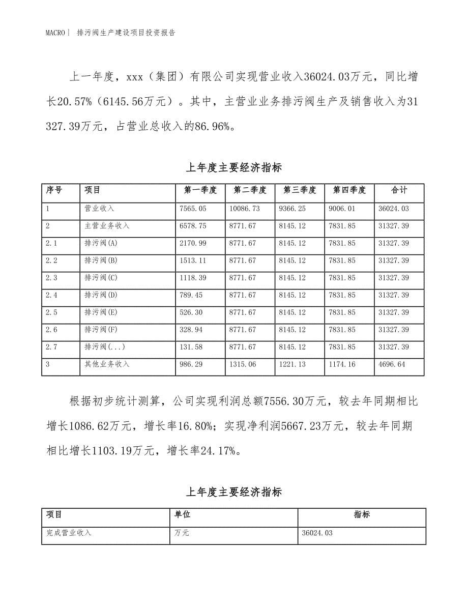 排污阀生产建设项目投资报告_第5页