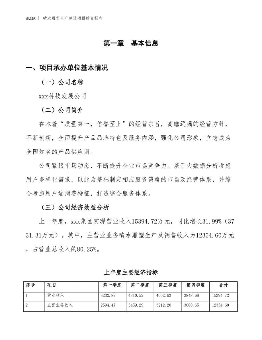 喷水雕塑生产建设项目投资报告_第5页