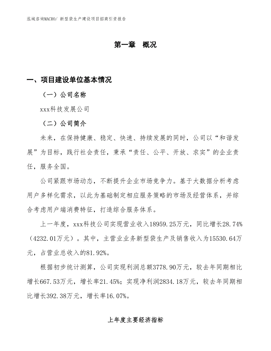 新型袋生产建设项目招商引资报告(总投资18114.91万元)_第1页