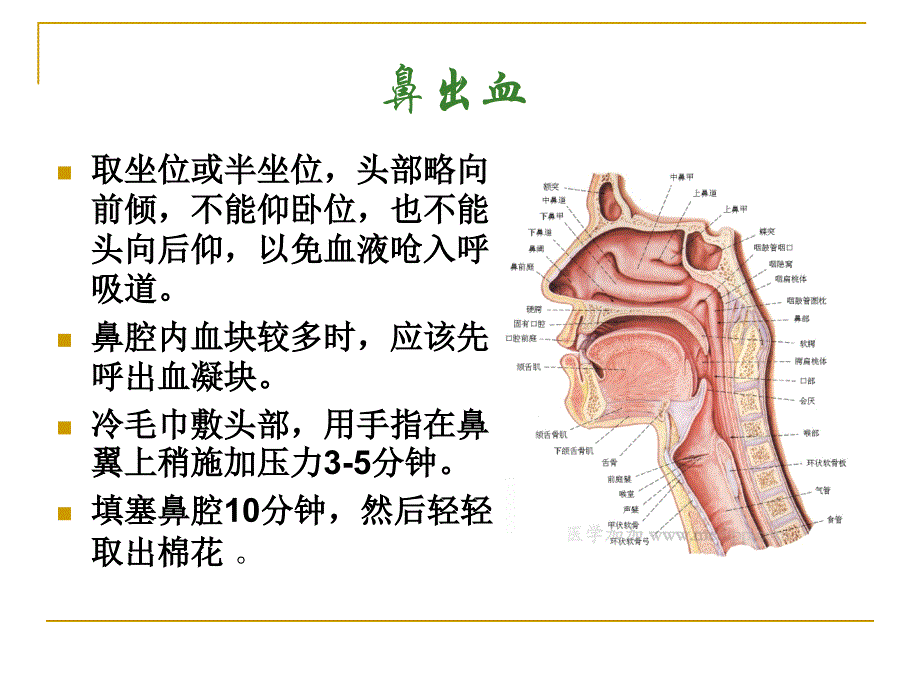 院前急救知识_第3页