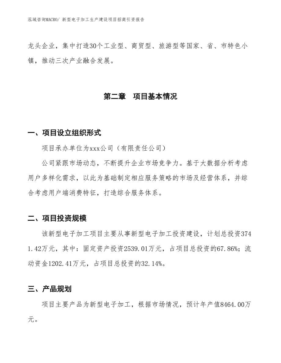 新型电子加工生产建设项目招商引资报告(总投资3741.42万元)_第5页