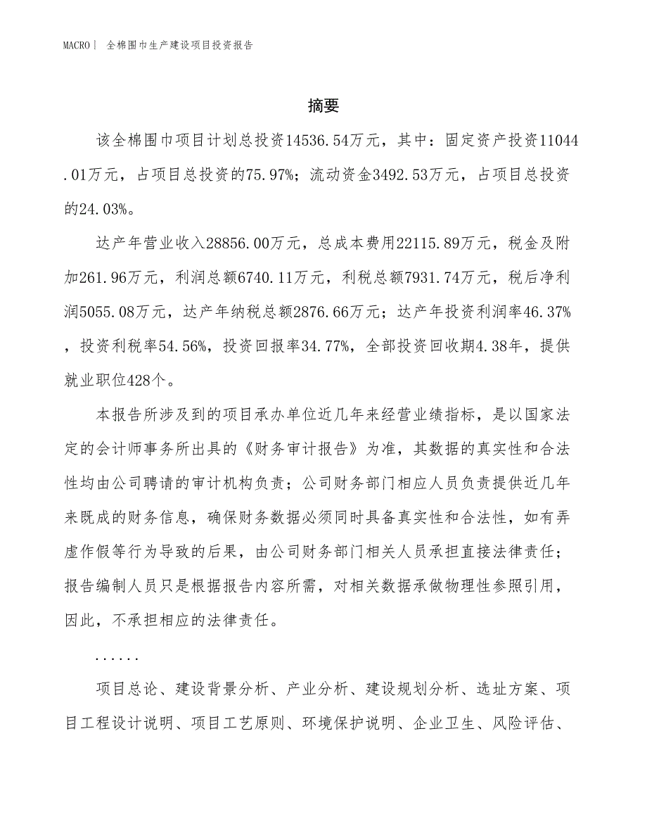 全棉围巾生产建设项目投资报告_第2页