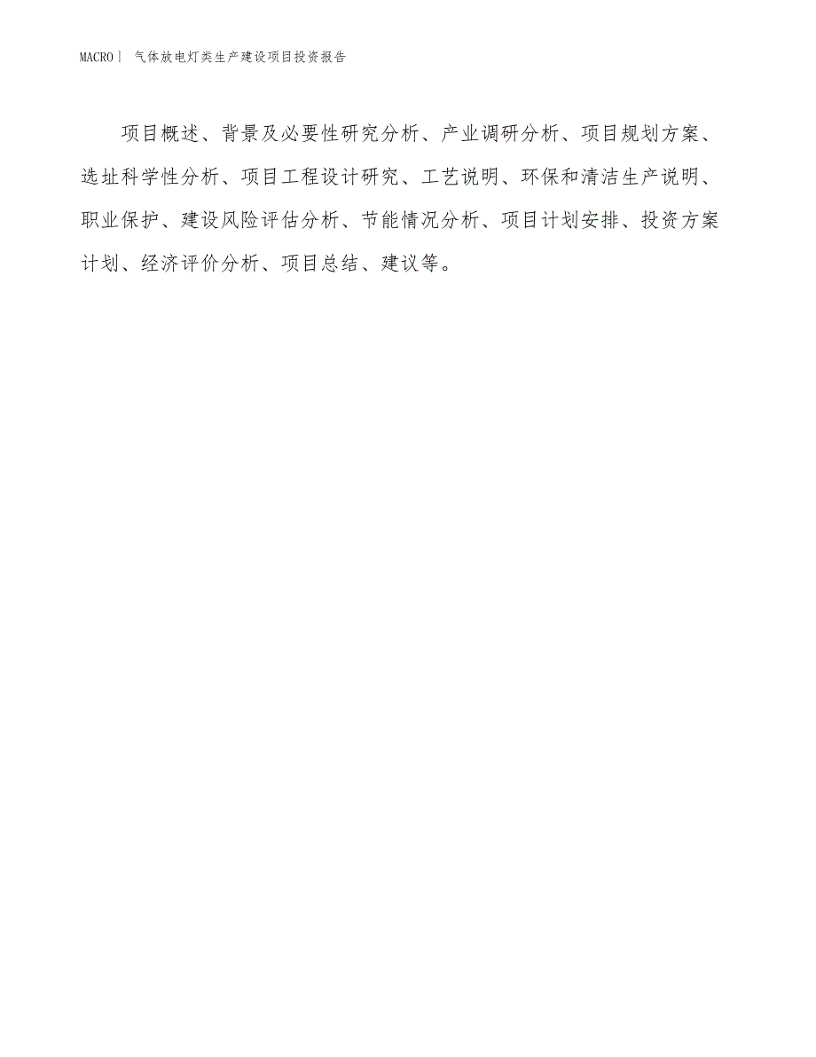 气体放电灯类生产建设项目投资报告_第3页