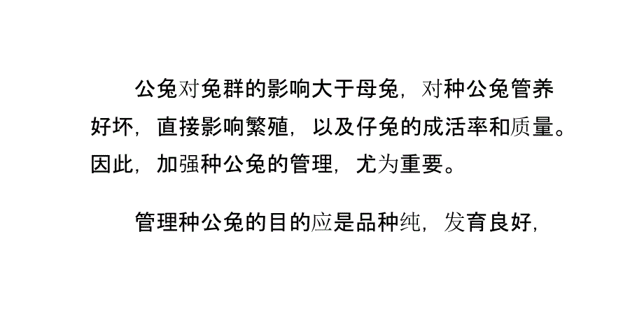 种公兔的饲养管理_第1页