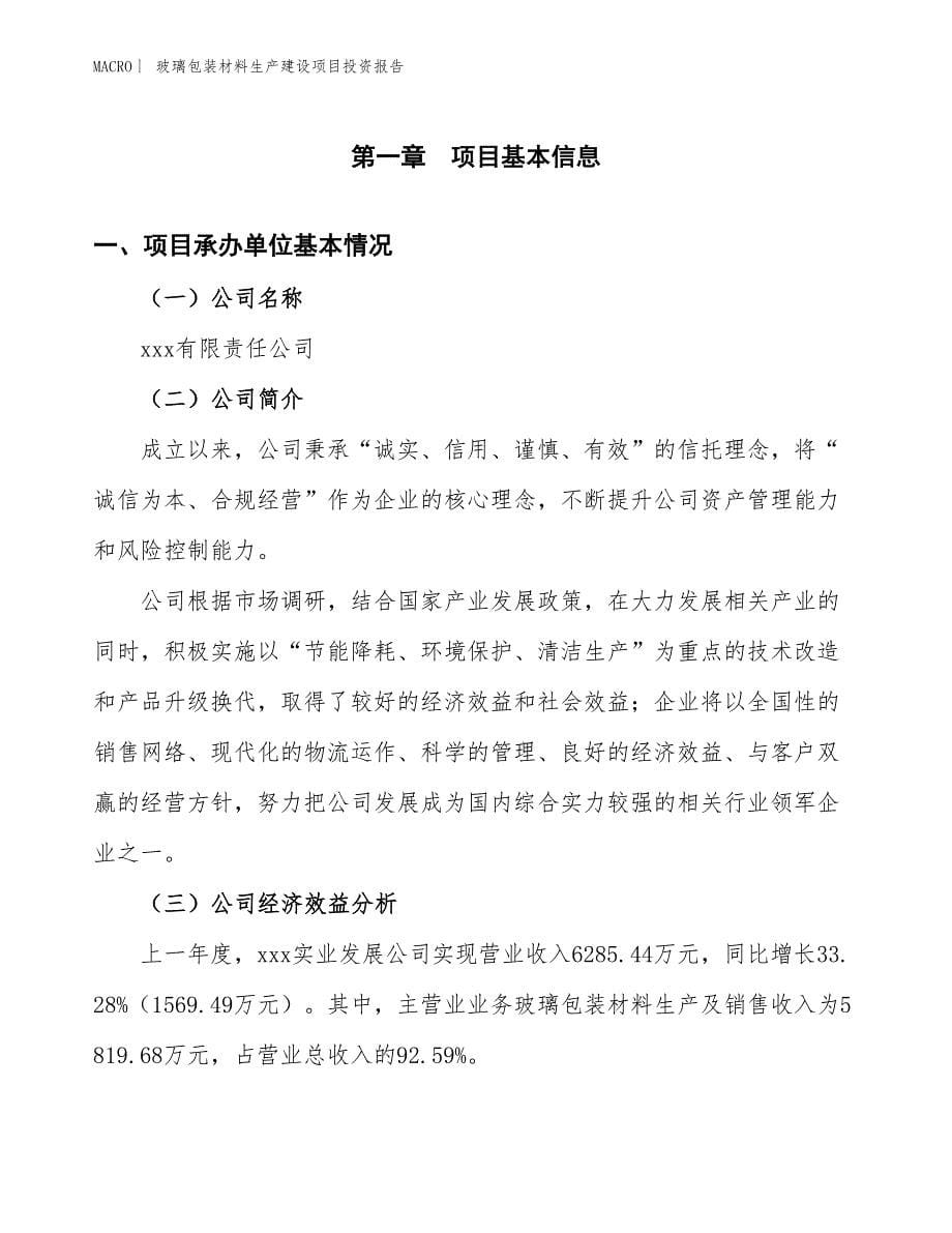 玻璃包装材料生产建设项目投资报告_第5页