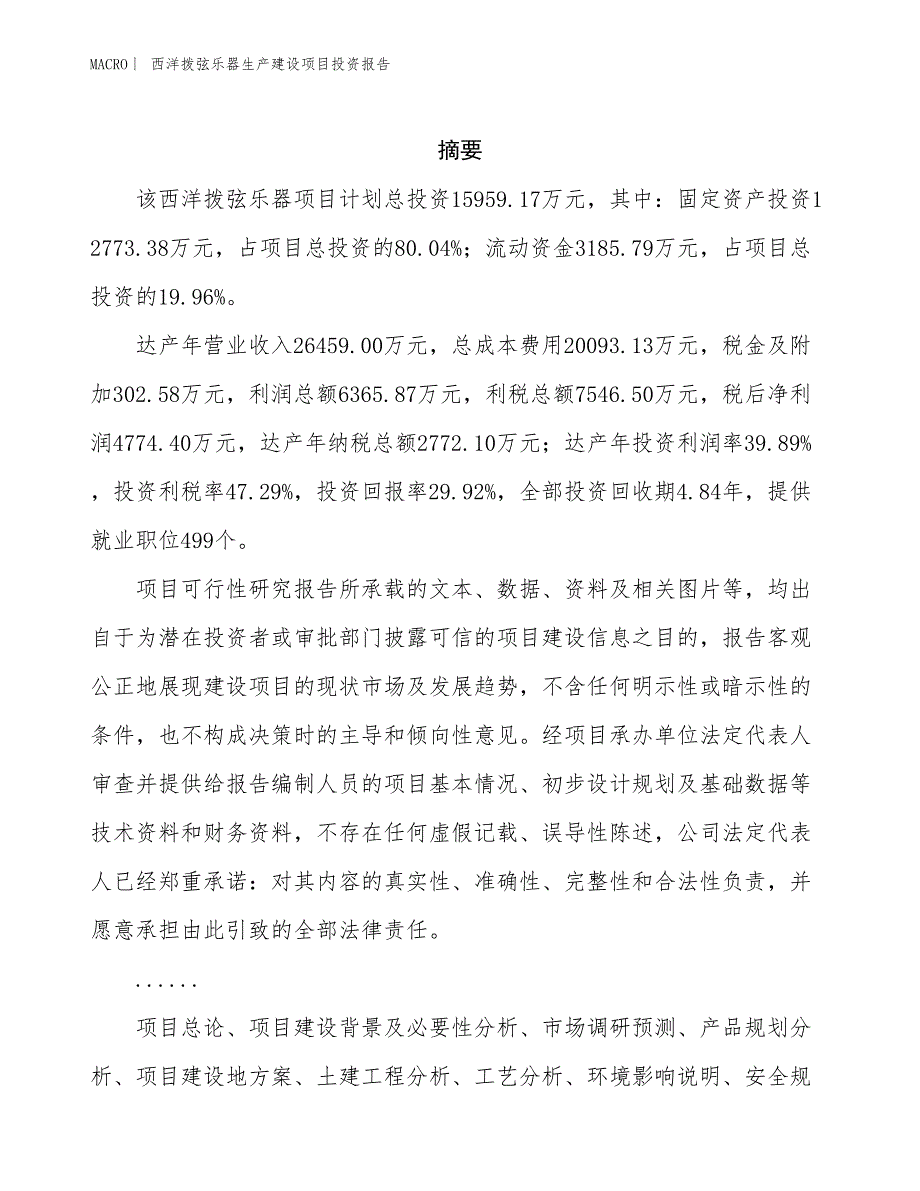 西洋拨弦乐器生产建设项目投资报告_第2页