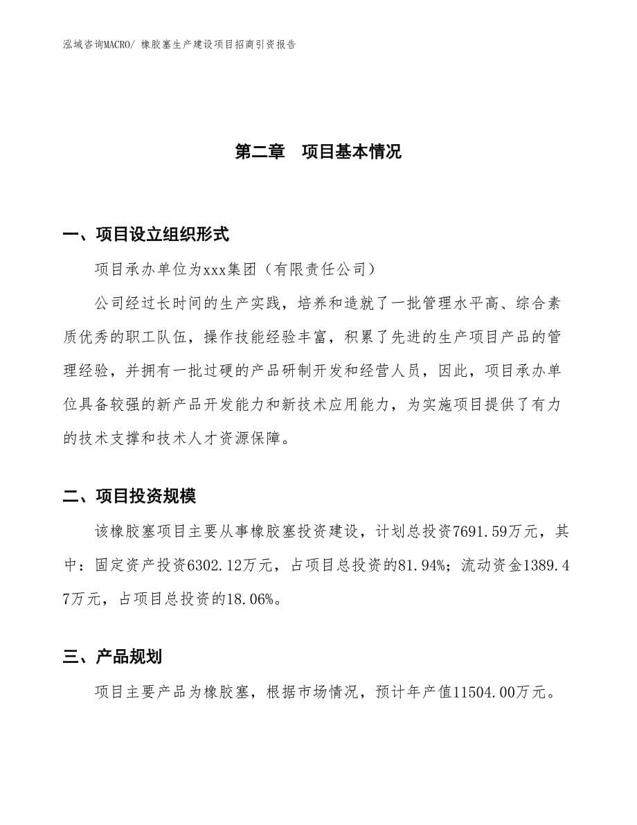 橡胶塞生产建设项目招商引资报告(总投资7691.59万元)_第5页